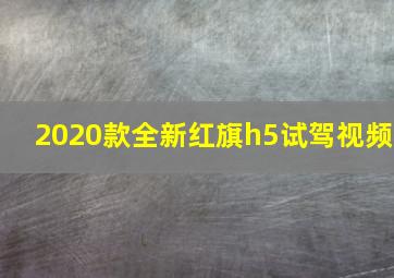 2020款全新红旗h5试驾视频