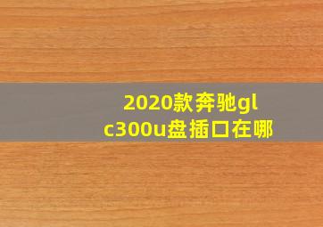 2020款奔驰glc300u盘插口在哪