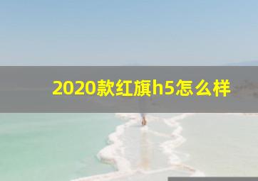 2020款红旗h5怎么样