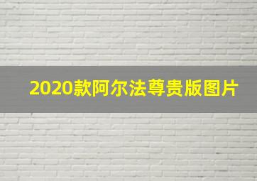 2020款阿尔法尊贵版图片