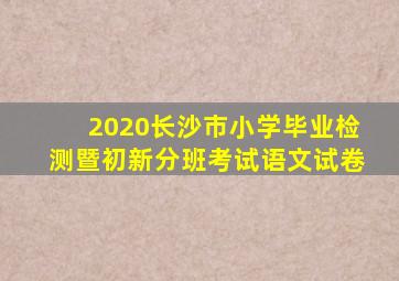 2020长沙市小学毕业检测暨初新分班考试语文试卷