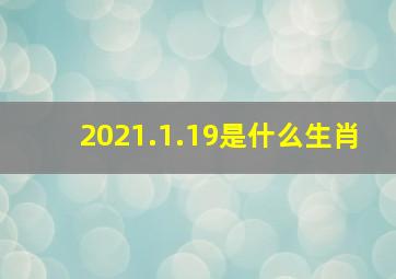 2021.1.19是什么生肖