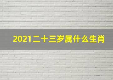 2021二十三岁属什么生肖