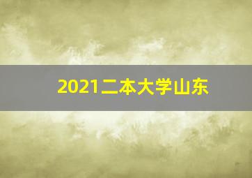 2021二本大学山东