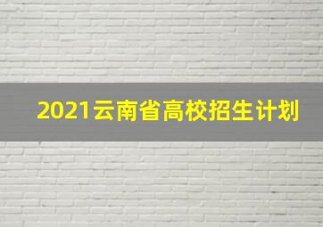 2021云南省高校招生计划