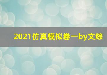 2021仿真模拟卷一by文综