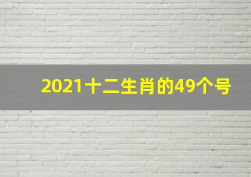 2021十二生肖的49个号