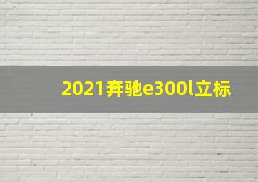 2021奔驰e300l立标