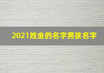 2021姓金的名字男孩名字