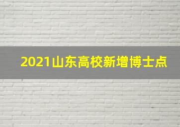 2021山东高校新增博士点