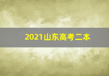 2021山东高考二本