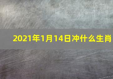 2021年1月14日冲什么生肖