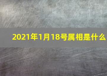 2021年1月18号属相是什么