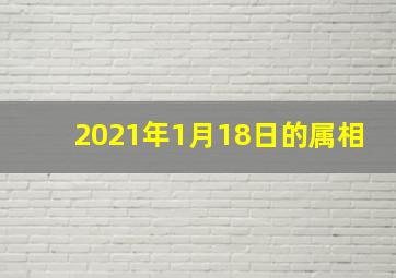 2021年1月18日的属相