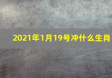 2021年1月19号冲什么生肖