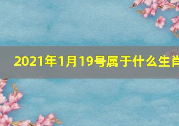 2021年1月19号属于什么生肖