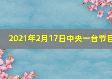 2021年2月17日中央一台节目