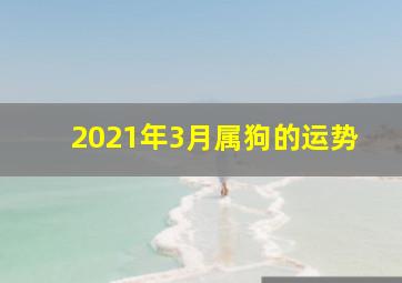 2021年3月属狗的运势