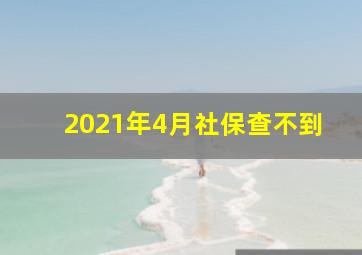 2021年4月社保查不到