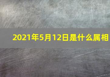 2021年5月12日是什么属相