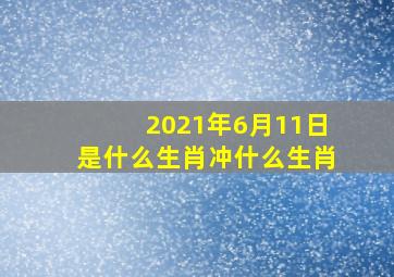 2021年6月11日是什么生肖冲什么生肖