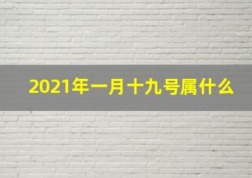 2021年一月十九号属什么