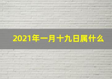 2021年一月十九日属什么