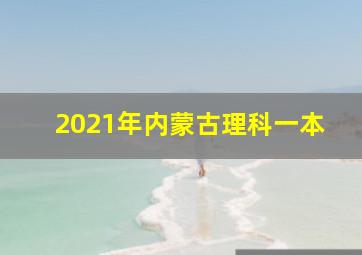 2021年内蒙古理科一本