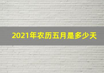 2021年农历五月是多少天