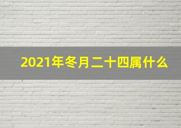 2021年冬月二十四属什么