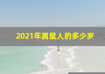 2021年属鼠人的多少岁