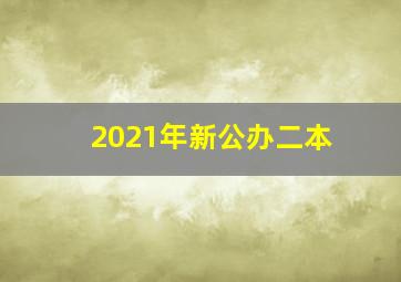 2021年新公办二本