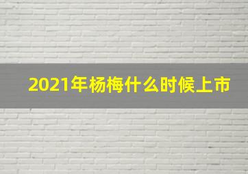 2021年杨梅什么时候上市