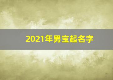 2021年男宝起名字