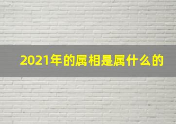 2021年的属相是属什么的