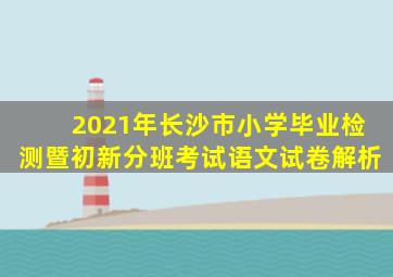 2021年长沙市小学毕业检测暨初新分班考试语文试卷解析