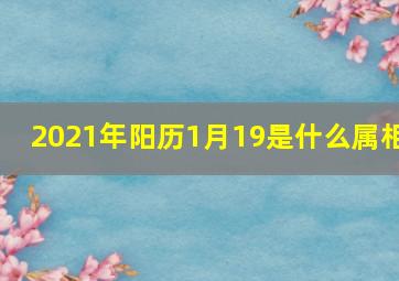 2021年阳历1月19是什么属相