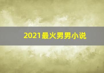 2021最火男男小说