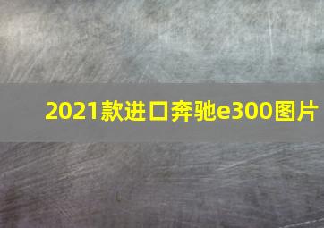 2021款进口奔驰e300图片