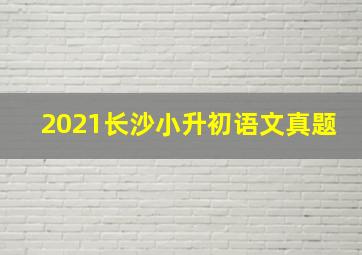 2021长沙小升初语文真题