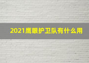 2021鹰眼护卫队有什么用