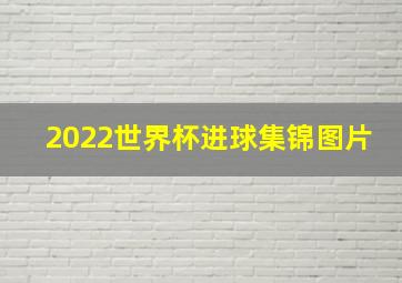 2022世界杯进球集锦图片