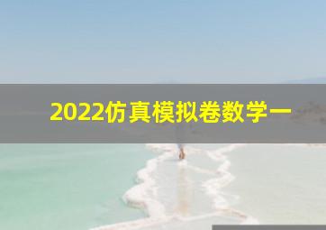 2022仿真模拟卷数学一