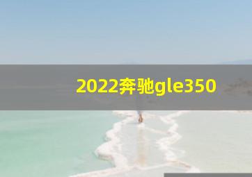 2022奔驰gle350