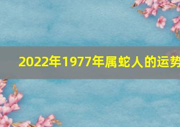 2022年1977年属蛇人的运势