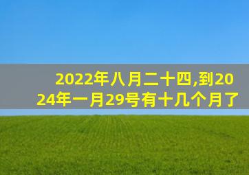 2022年八月二十四,到2024年一月29号有十几个月了