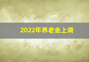 2022年养老金上调