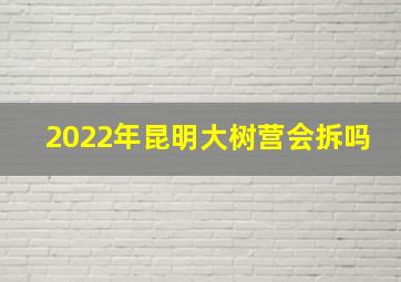 2022年昆明大树营会拆吗