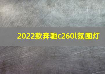 2022款奔驰c260l氛围灯