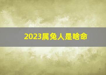 2023属兔人是啥命